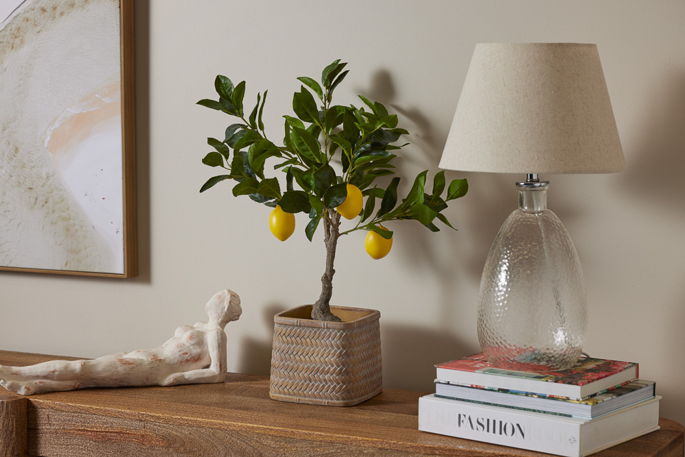 Isalbi Homewares Sale Event